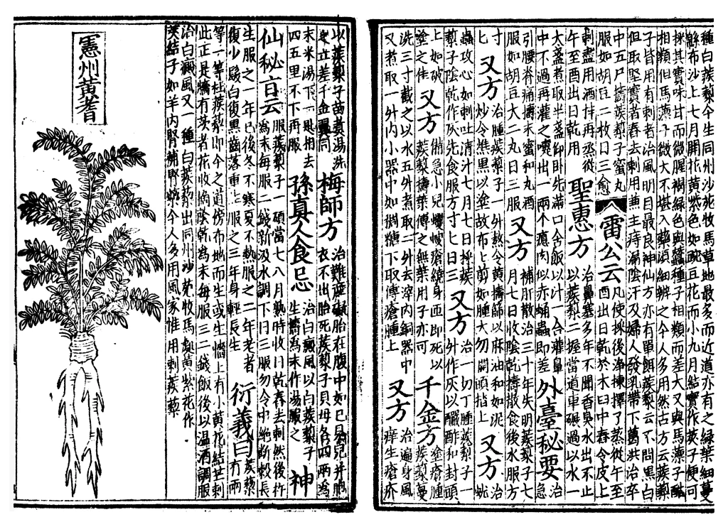 Pen_tsao_woodblock_book_1249-ce1-1024x735 How to Write in Chinese 