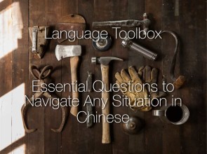 chinese-language-tool-box-295x220 Language Toolbox: Essential Chinese Phrases to Help You Learn More and Navigate Any Situation in Chinese  