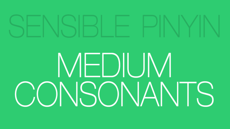 Sensible Pinyin Course : Medium Consonants